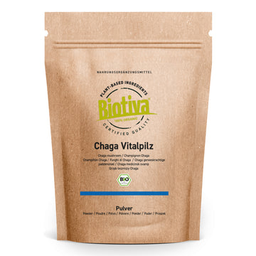 Chaga Pilz Pulver Bio
